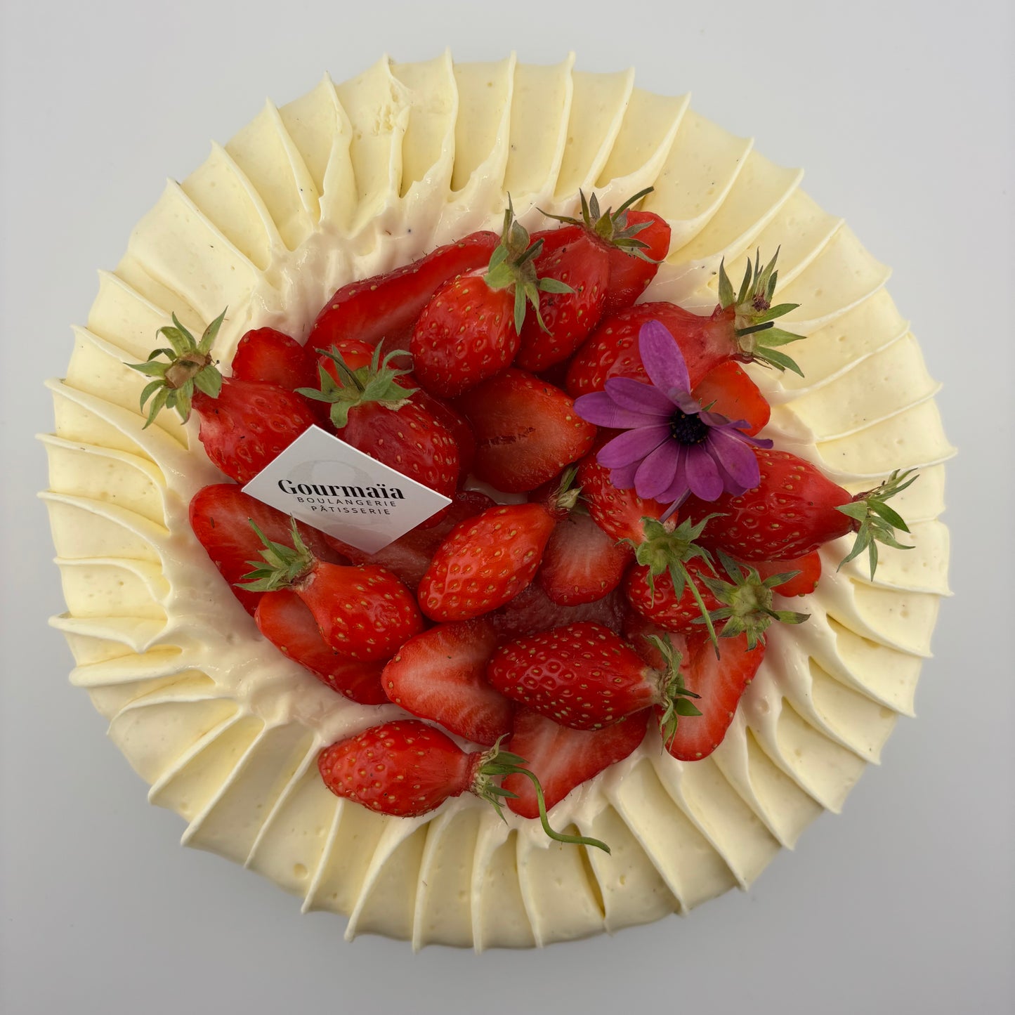 Fraisier
